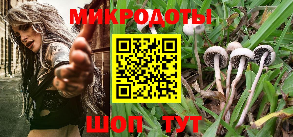 Псилоцибиновые грибы GOLDEN TEACHER Уварово
